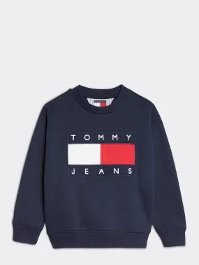 Kids 8-12 Flag Sweatshirt | Hoodies | Tommy Hilfiger