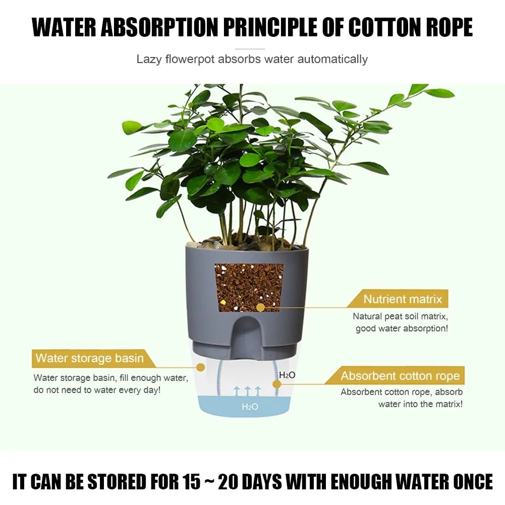 Self Watering Planter With Water Container