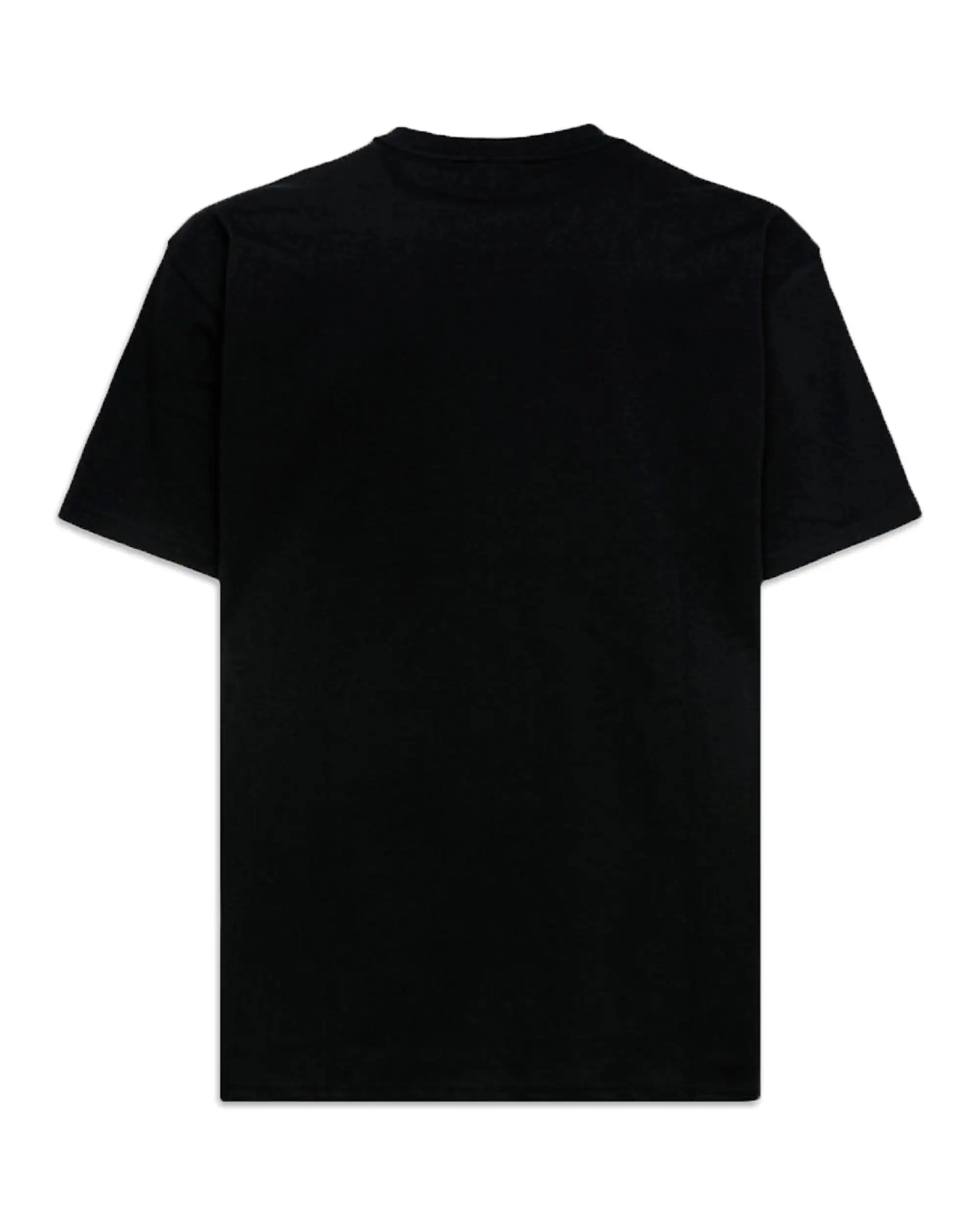 T-Shirt Uomo The North Face Pride Nero