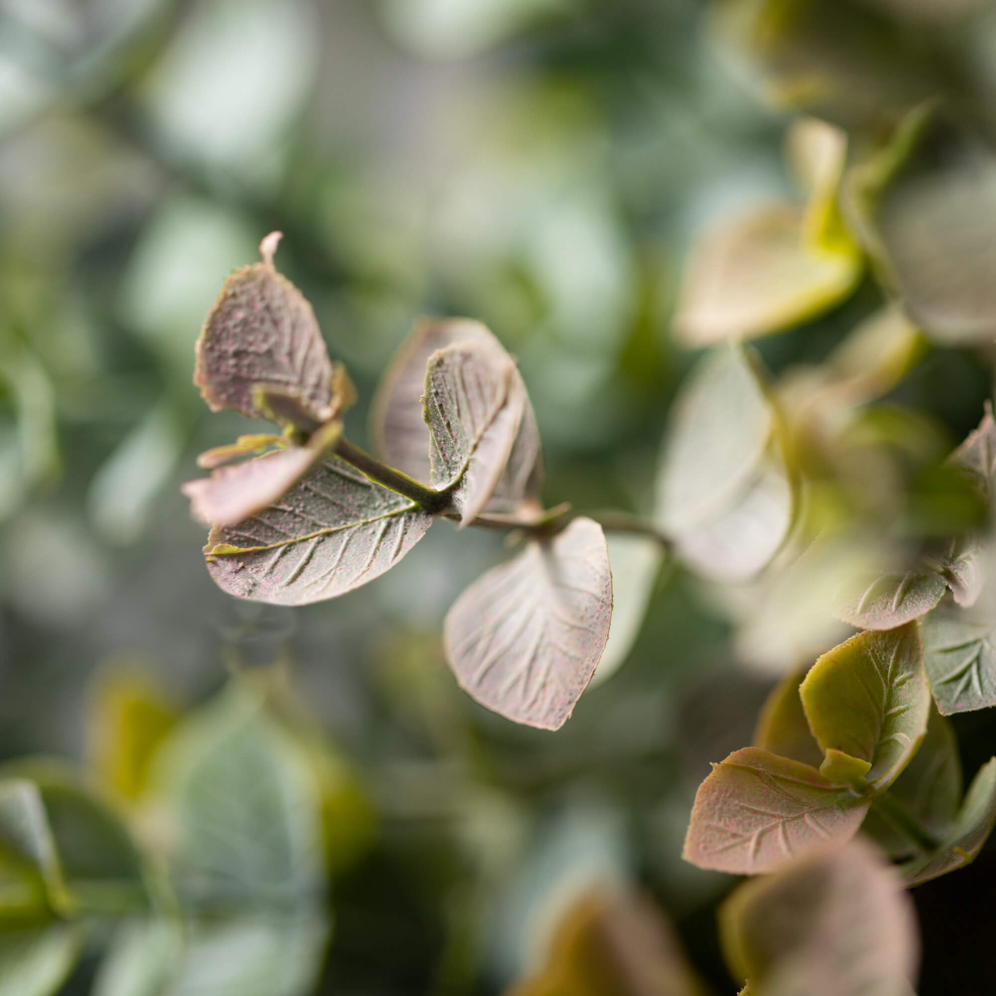 Two Tone Eucalyptus Bush Set