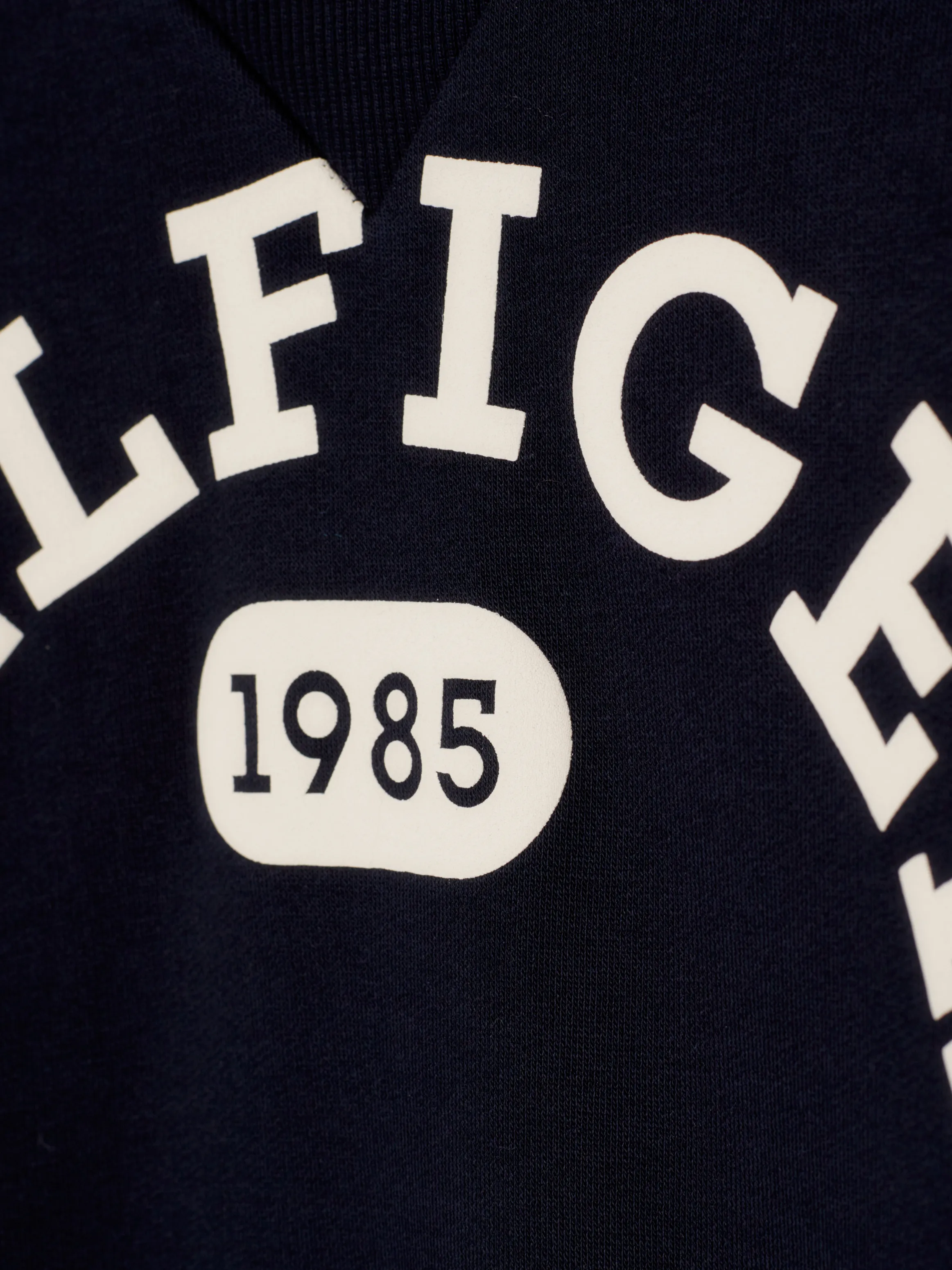 Varsity Logo Fleece Archive Sweatshirt | Sweatshirts & Hoodies | Tommy Kids